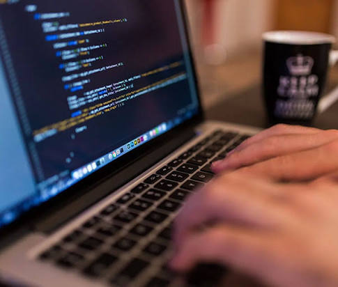 Bachelor Program in Computer Application
